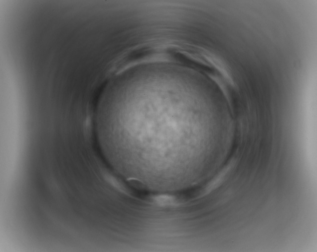 X0000116010265200911251126