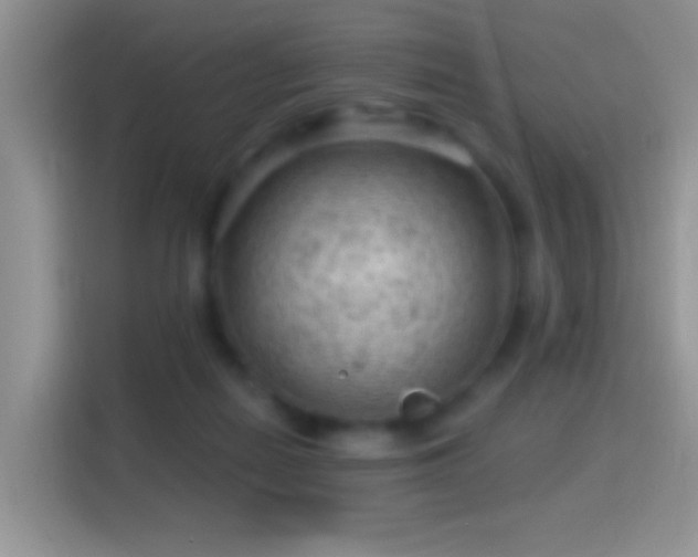 X0000116010266200911251126