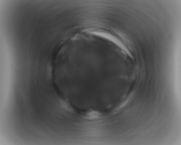 X0000116010269200911251126