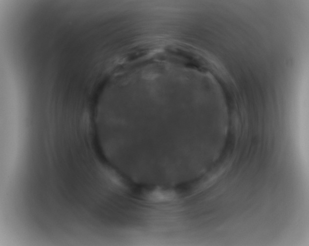X0000116010270200911251126