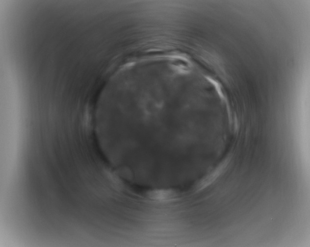 X0000116010273200911251126