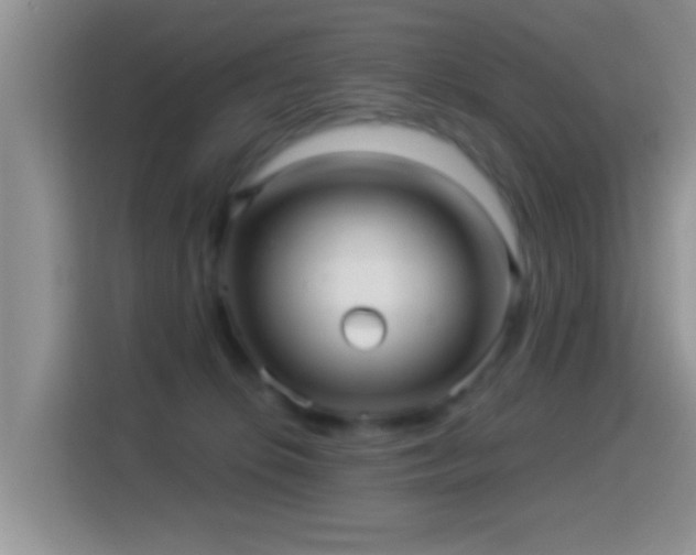 X0000116010276200911251126