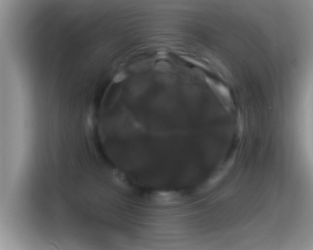 X0000116010277200911251126