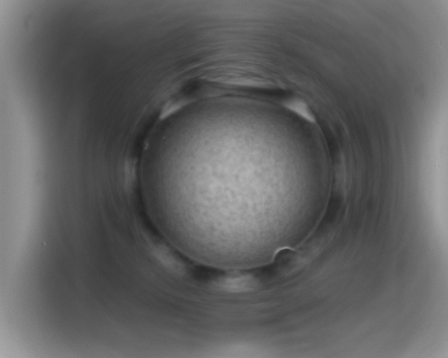 X0000116010278200911251126