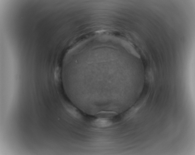 X0000116010280200911251126