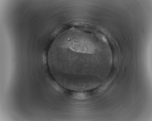 X0000116010282200911251127