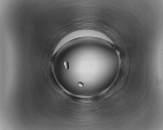 X0000116010284200911251127