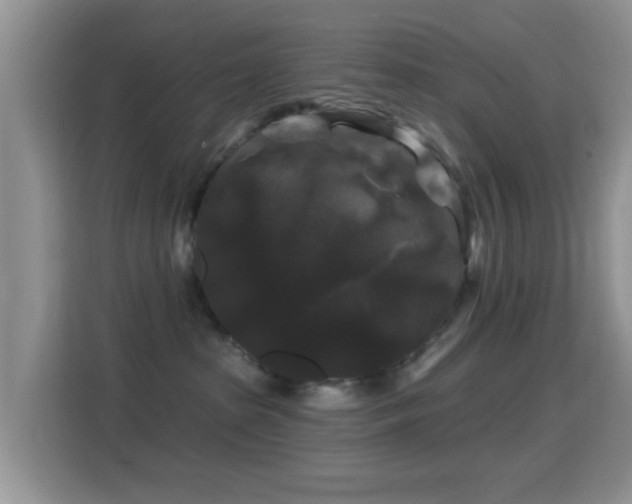 X0000116010285200911251127