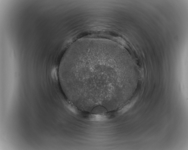 X0000116010286200911251127