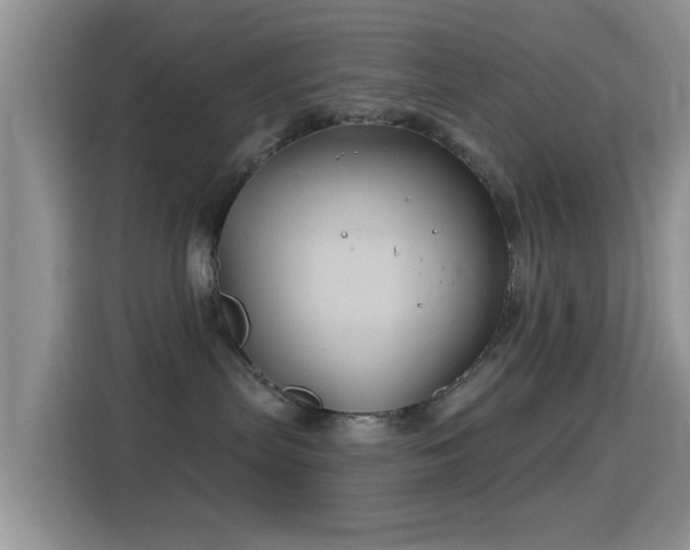 X0000116010287200911251127