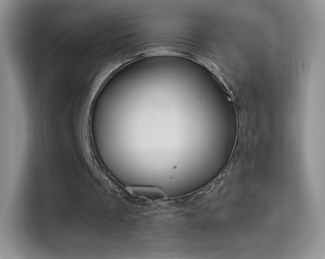 X0000116010289200911251126