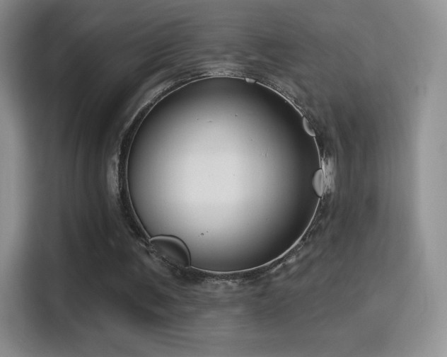 X0000116010291200911251126