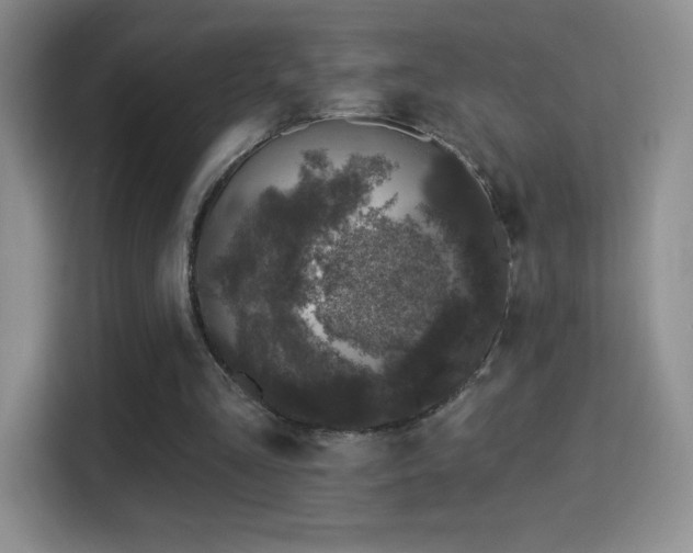X0000116010293200911251126