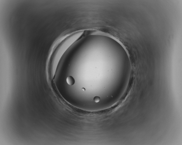 X0000116010294200911251126