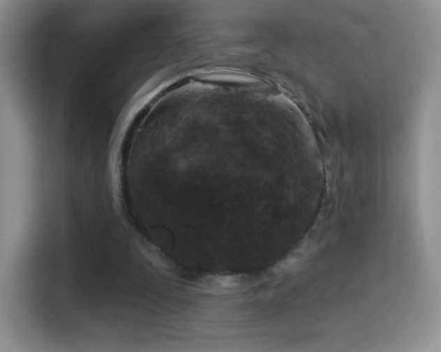 X0000116010295200911251126