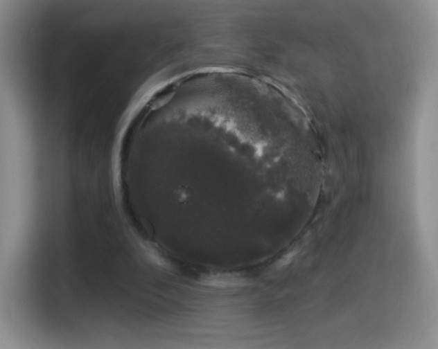 X0000116010296200911251126