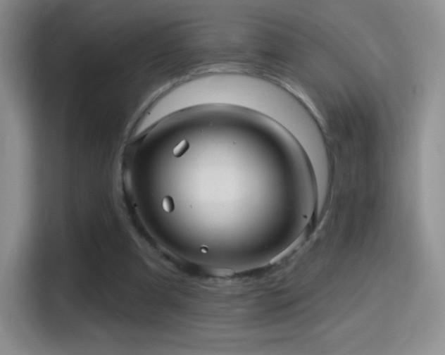 X0000116010297200911251126
