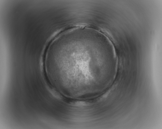 X0000116010298200911251126