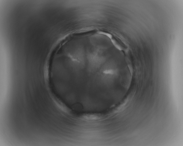 X0000116010299200911251126