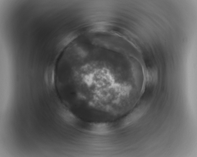 X0000116010301200911251126