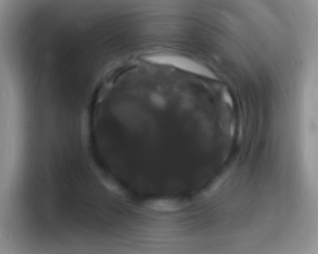 X0000116010303200911251126