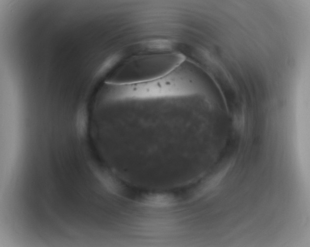 X0000116010304200911251126