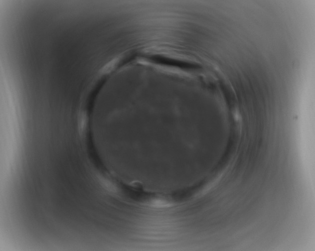 X0000116010308200911251126
