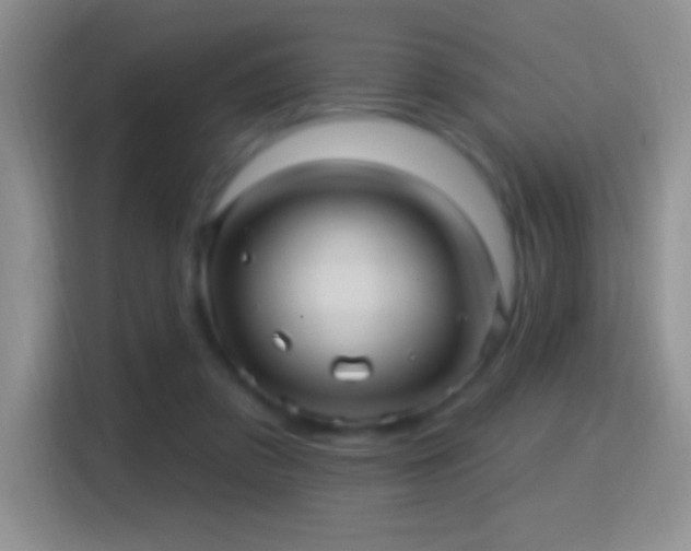 X0000116010309200911251126