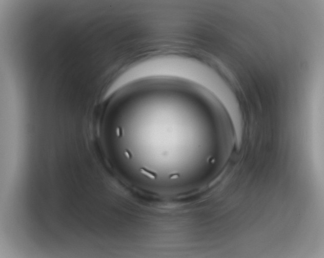X0000116010313200911251126