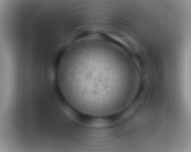 X0000116010315200911251126