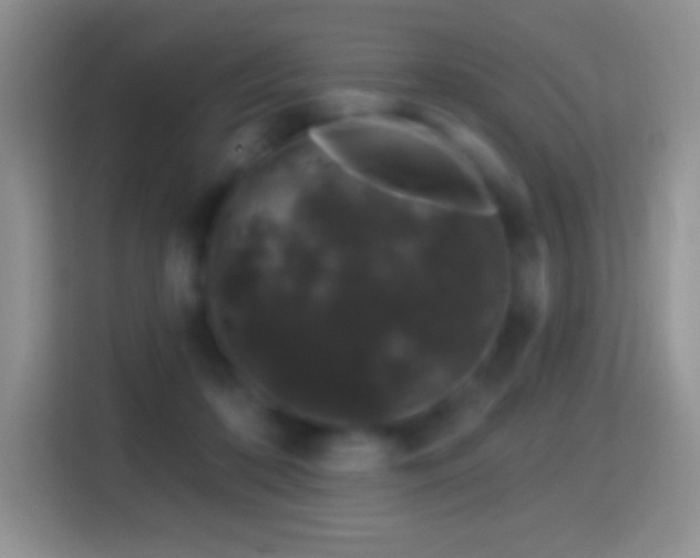 X0000116010316200911251126