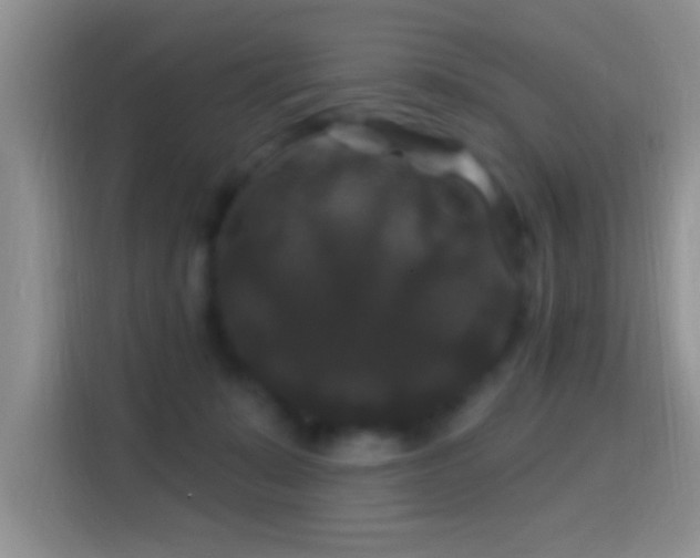 X0000116010319200911251126