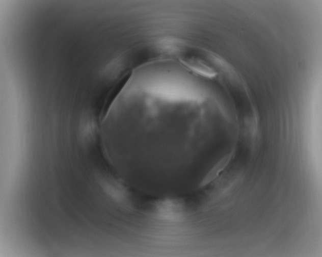 X0000116010320200911251126