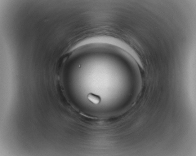 X0000116010324200911251126