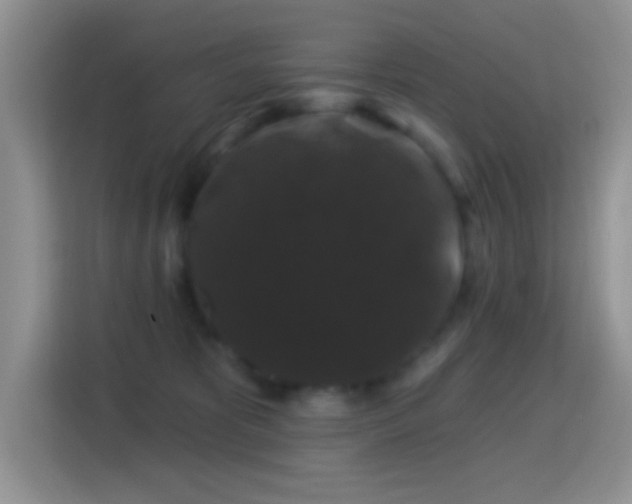 X0000116010325200911251125
