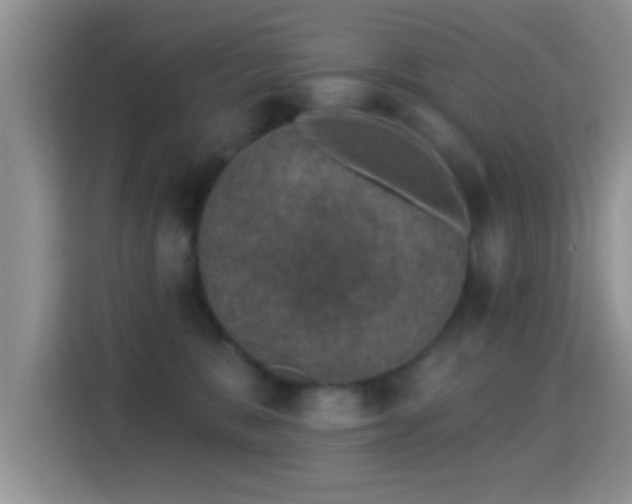 X0000116010327200911251125