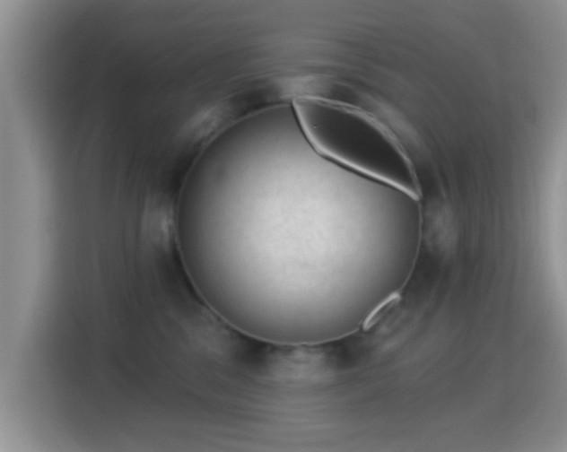 X0000116010329200911251125