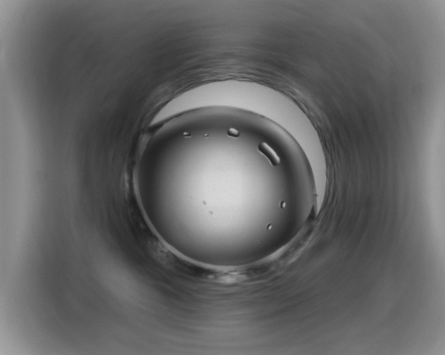 X0000116010333200911251125