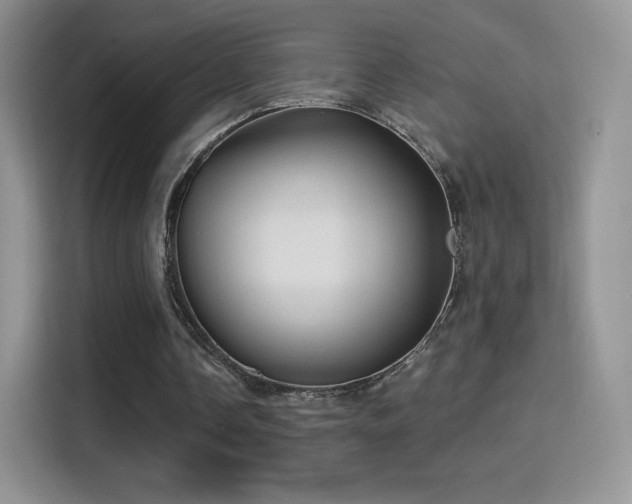 X0000116010338200911251125