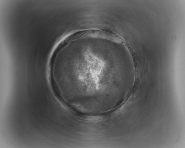 X0000116010342200911251125