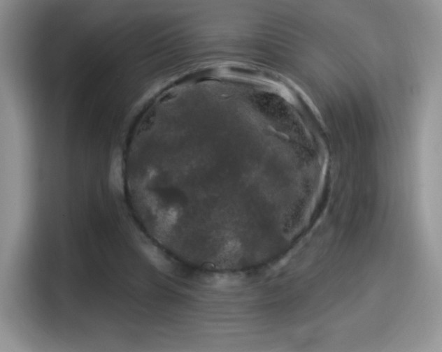 X0000116010345200911251125