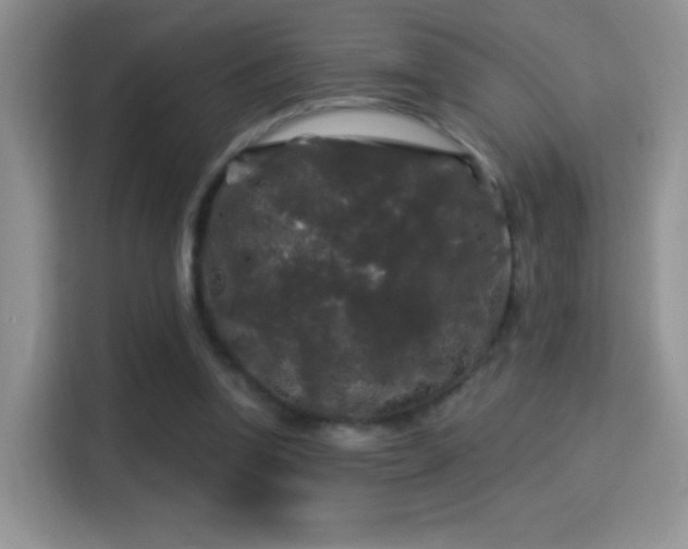X0000116010346200911251125