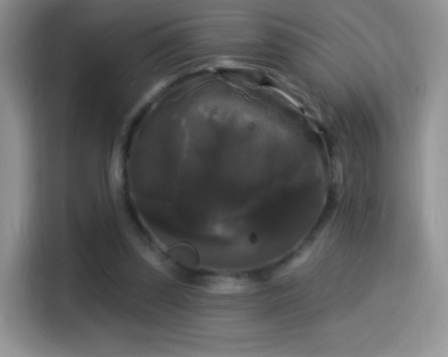 X0000116010347200911251125