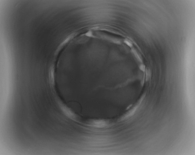 X0000116010349200911251125