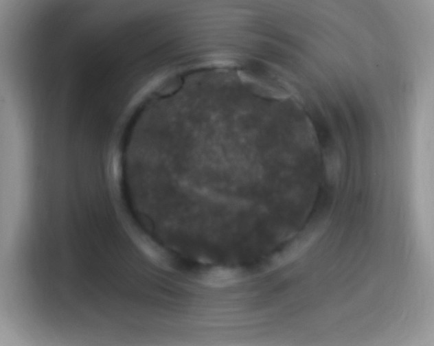 X0000116010350200911251125