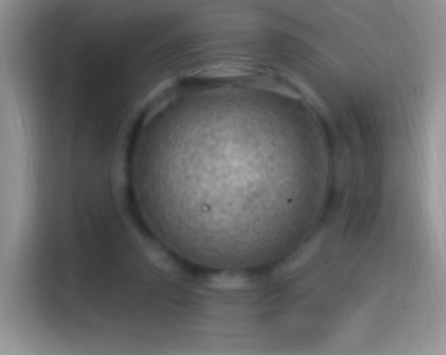 X0000116010354200911251125