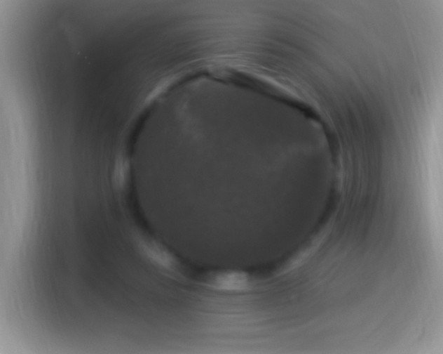 X0000116010355200911251125