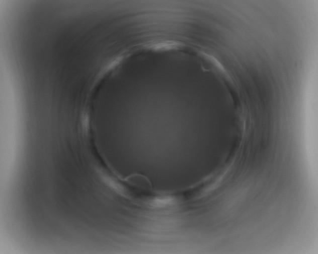 X0000116010357200911251125