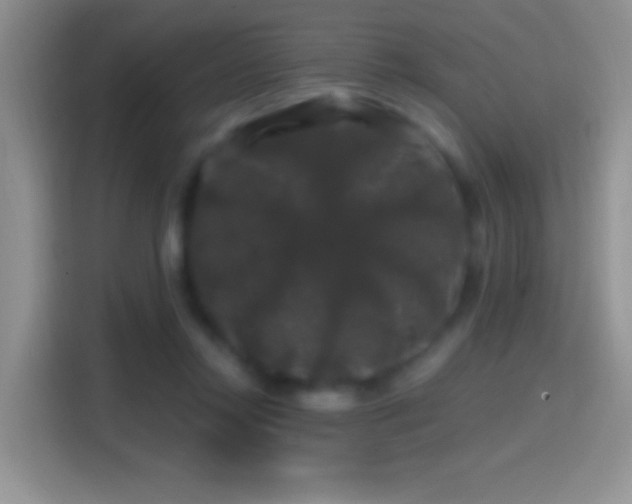 X0000116010358200911251125