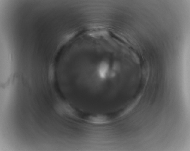 X0000116010359200911251125